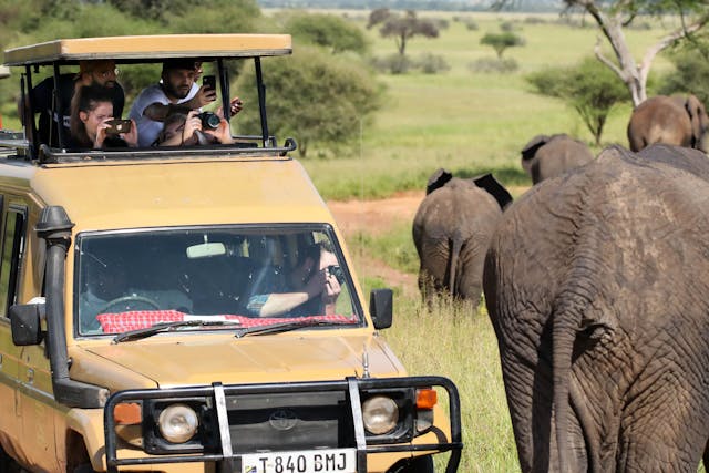 9 Days Kenya Tanzania Group Budget Safari Tour