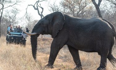 East Africa Honeymoon Packages