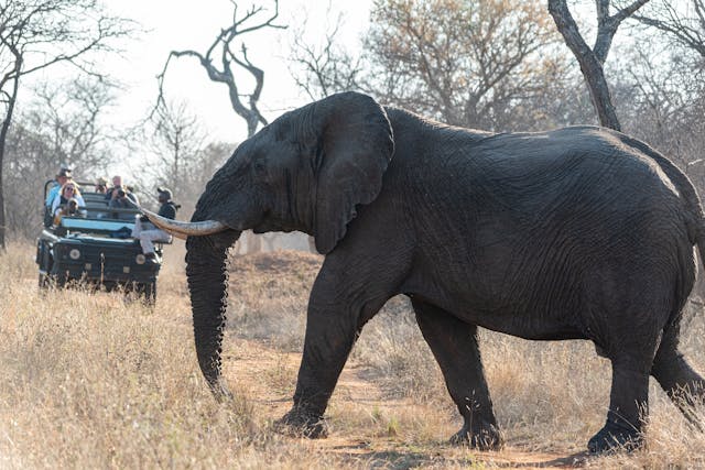 East Africa Honeymoon Packages