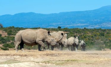 Kenya tour