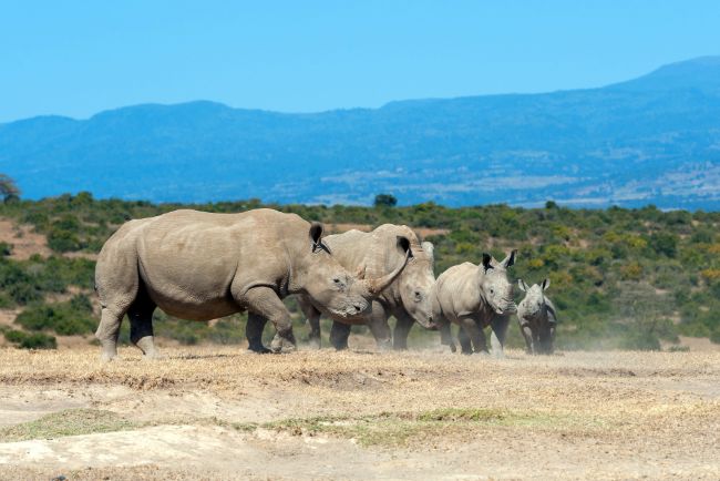 Kenya tour