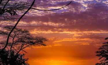 Top 30 Africa’s Premier Wildlife Destinations