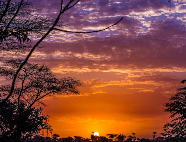 Top 30 Africa’s Premier Wildlife Destinations