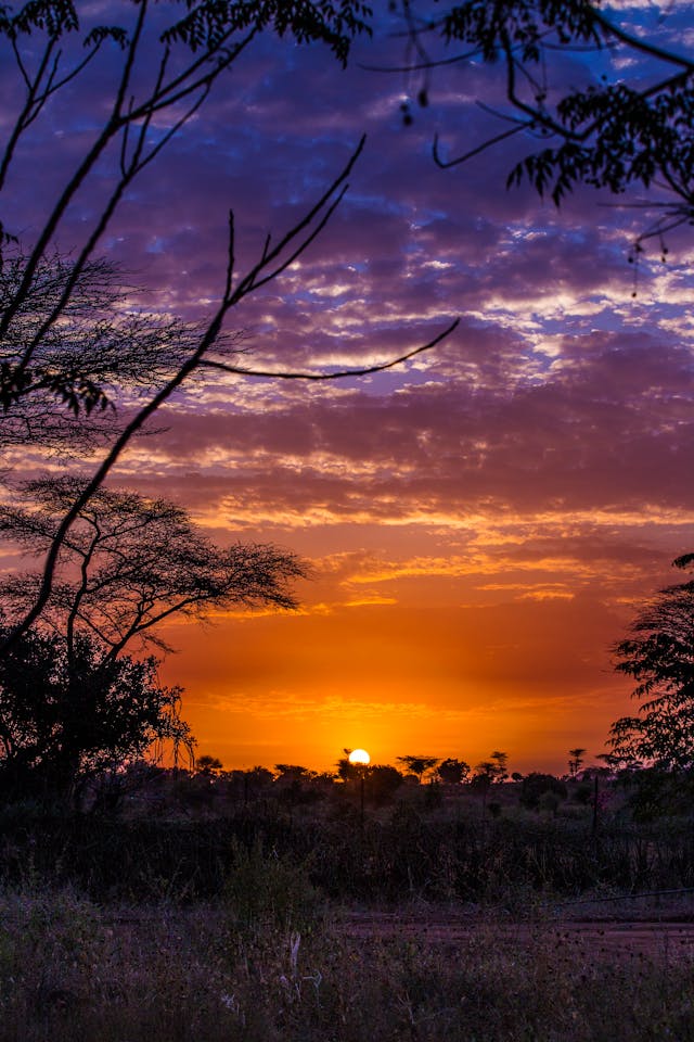 Top 30 Africa’s Premier Wildlife Destinations
