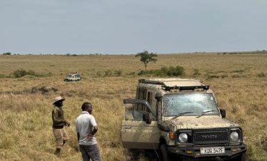 14 Best of Kenya Tanzania Safari