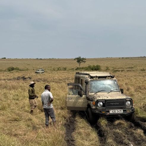 14 Best of Kenya Tanzania Safari