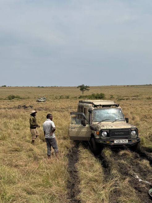 14 Best of Kenya Tanzania Safari