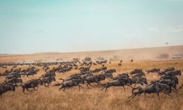16 Days Tanzania Kenya Big Five & Migration Safari