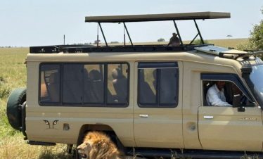 Affordable Tanzania Safari Tour Packages
