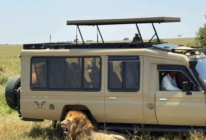 Affordable Tanzania Safari Tour Packages