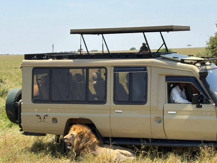 Affordable Tanzania Safari Tour Packages
