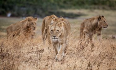 Arusha Day Trips