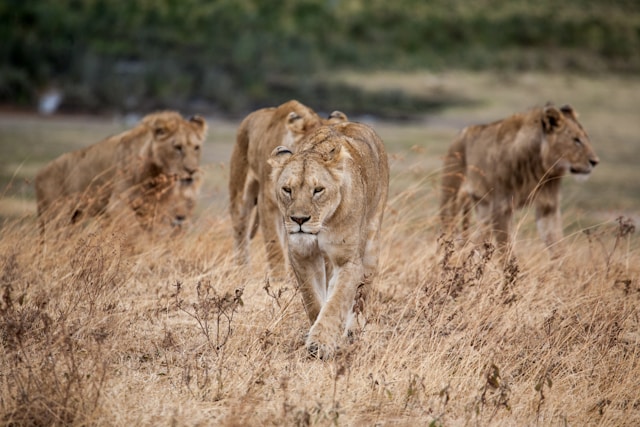 Arusha Day Trips