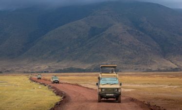 12-Day Tanzania Wildlife & Zanzibar Beach Holiday