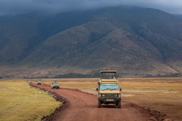 12-Day Tanzania Wildlife & Zanzibar Beach Holiday