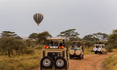2-Day Tarangire Safari Package