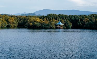 2 Days Lake Manyara Tour
