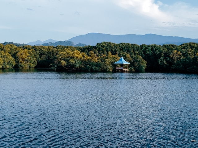 2 Days Lake Manyara Tour
