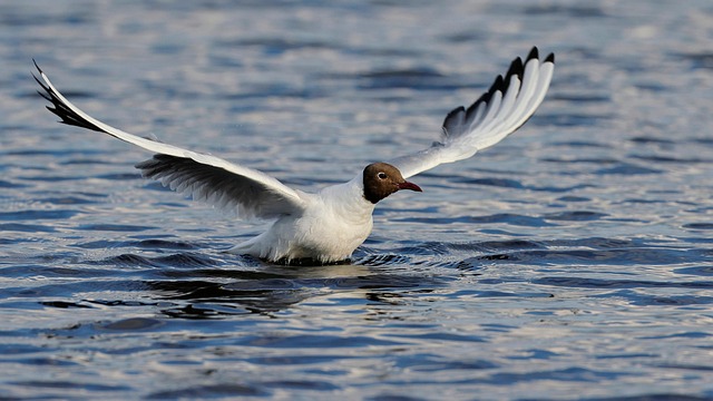 2 Days Ngorongoro Crater Tour