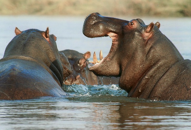 3 Days Lake Manyara Ngorongoro Tour