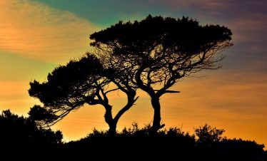 3 Days Serengeti Ngorongoro Tour