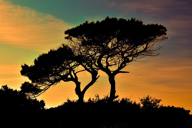 3 Days Serengeti Ngorongoro Tour