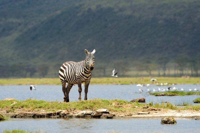 3 Days Tarangire Luxury Safaris