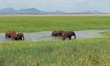 3 Days Tarangire Ngorongoro Crater