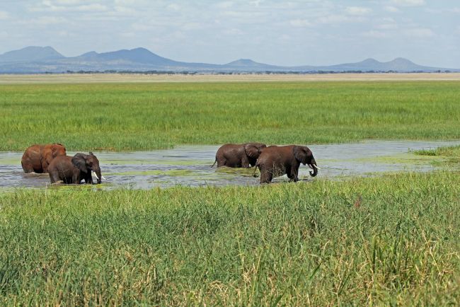 3 Days Tarangire Ngorongoro Crater