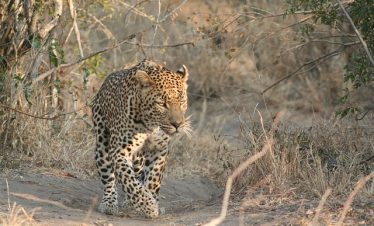 3‑Day Tanzania Camping Group Tour