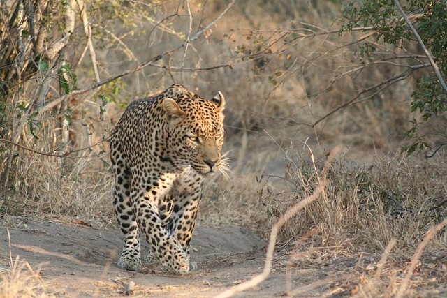 3‑Day Tanzania Camping Group Tour