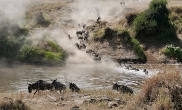 4 Days Serengeti Fly-In Safari