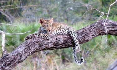 4 Days Southern Serengeti Safaris