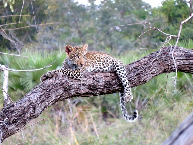 4 Days Southern Serengeti Safaris