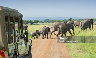 5 Days Tanzania Group Safaris