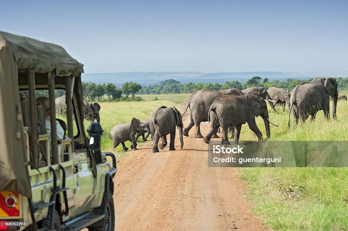 5 Days Tanzania Group Safaris