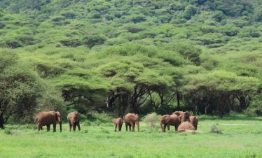 5 Days Tanzania Private Budget Tour