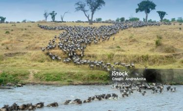 6 Days Tanzania Bigfive Safaris