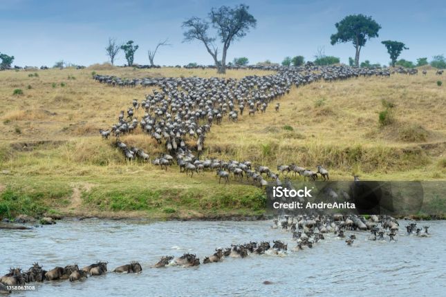 6 Days Tanzania Bigfive Safaris