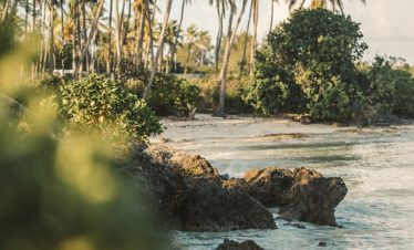 6 Days Tanzania Family Safari