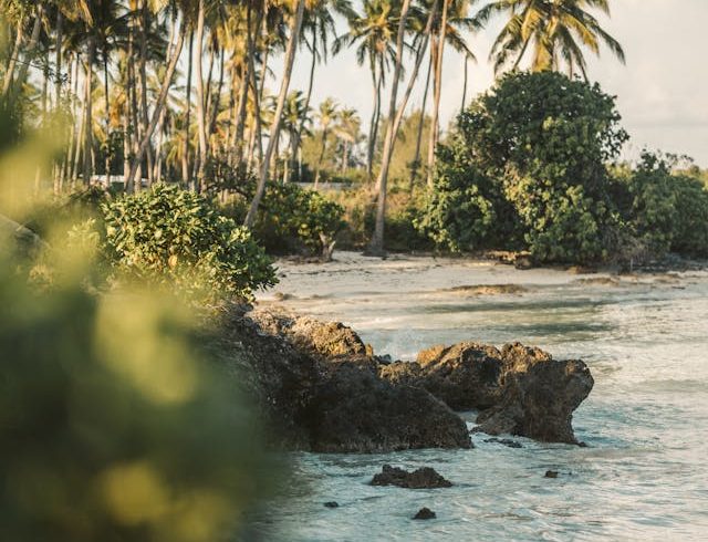 6 Days Tanzania Family Safari