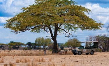 7 Days Tanzania Budget Family Safari