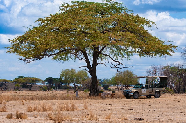 7 Days Tanzania Budget Family Safari