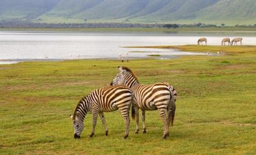 7 Days Tanzania Northern Circuit Safaris