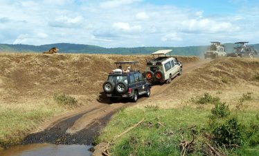 9 Days Tanzania Wildlife & Zanzibar Beach Tour
