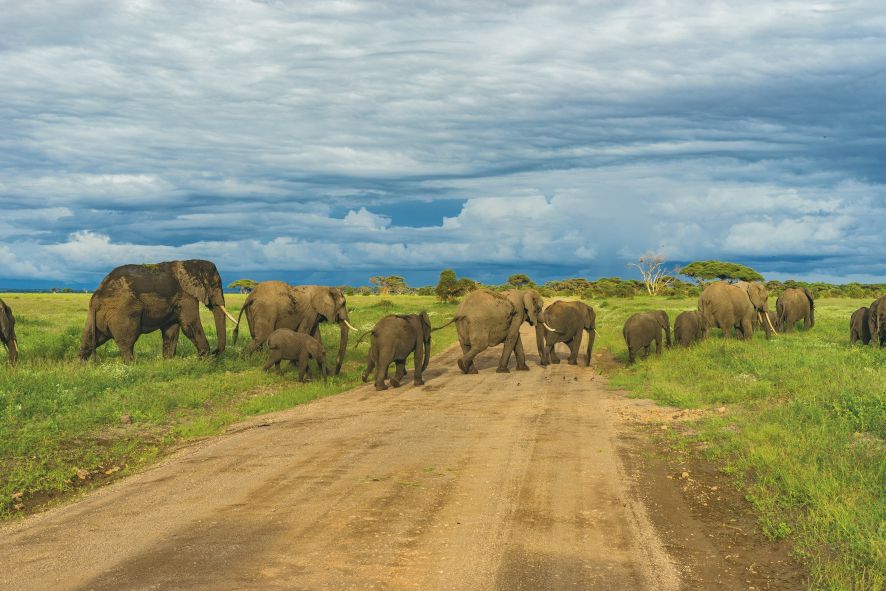 Guide to Tanzania safari cost breakdown