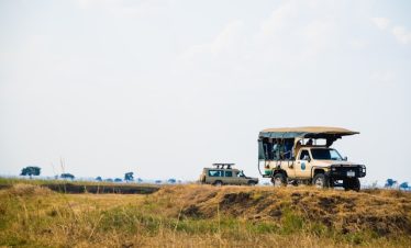 Guide to the Best Time to Visit Tanzania