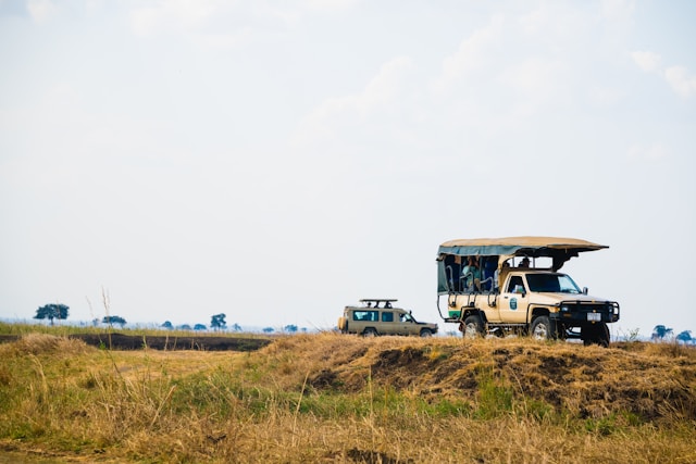 Guide to the Best Time to Visit Tanzania