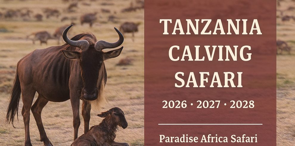 Tanzania Calving Safari Guide