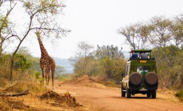 Tanzania Safari Tour Itineraries